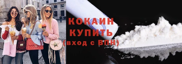 шишки Гусев