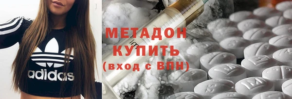 шишки Гусев