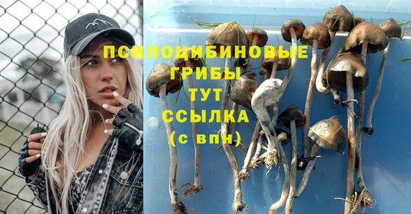 шишки Гусев