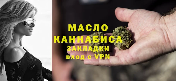 стаф Дмитров