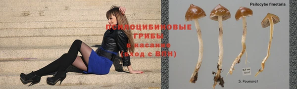 кокс Гусиноозёрск