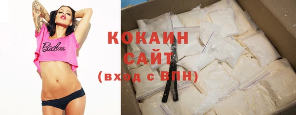 шишки Гусев