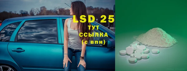шишки Гусев