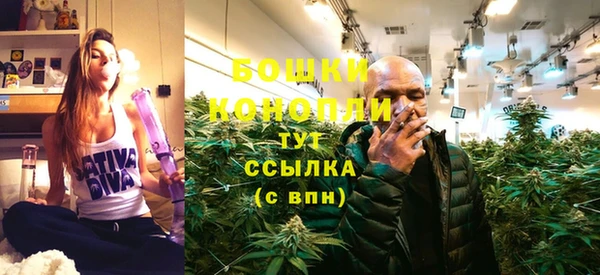 шишки Гусев
