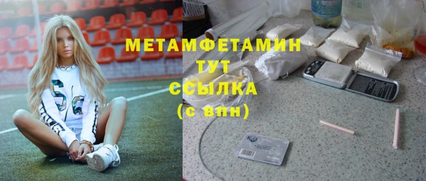 шишки Гусев