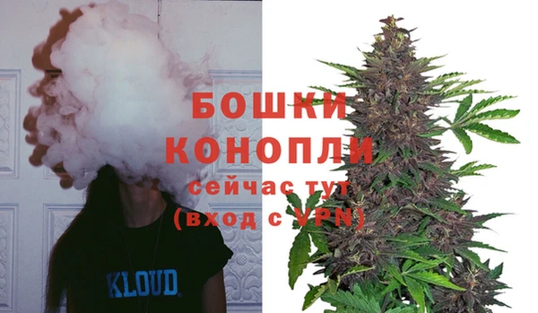 кокс Гусиноозёрск