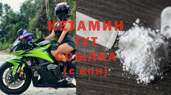 шишки Гусев